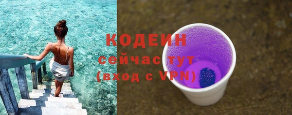 прущий лед Арсеньев