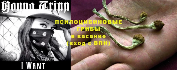 дмт Алексин