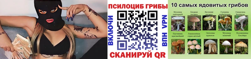 Галлюциногенные грибы ЛСД  закладки  Можга 