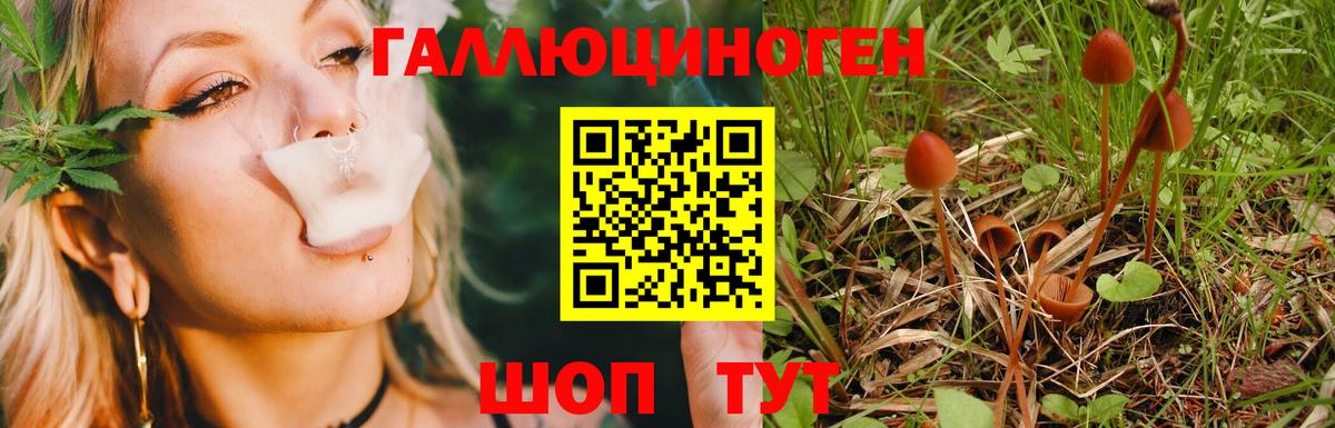 Можга  Галлюциногенные грибы Psilocybe  Галлюциногенные грибы прущие грибы  Вход с VPN 